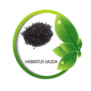 Habbatus Sauda