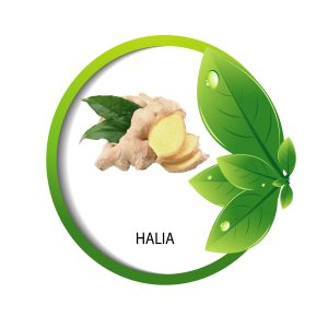 Halia
