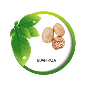 Buah Pala